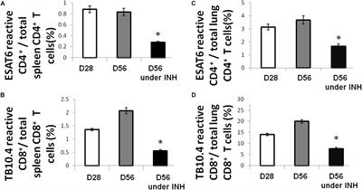 Antibiotic Treatment Shapes the Antigenic Environment During Chronic TB Infection, Offering Novel Targets for Therapeutic Vaccination